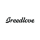 قیمت خرید فروش گیتار آکوستیک Breedlove