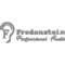 Fredenstein