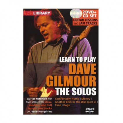 قیمت خرید فروش ویدیو آموزشی Dave Gilmour solos