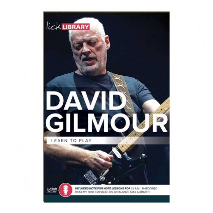 قیمت خرید فروش ویدیو آموزشی Learn To Play David Gilmour