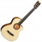 قیمت خرید فروش گیتار کلاسیک  Alhambra CS2 CTW