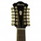 قیمت خرید فروش گیتار آکوستیک Ibanez AEL2012E TKS
