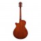 قیمت خرید فروش گیتار آکوستیک Ibanez AEG50 DHH