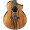 قیمت خرید فروش گیتار آکوستیک Ibanez EW50
