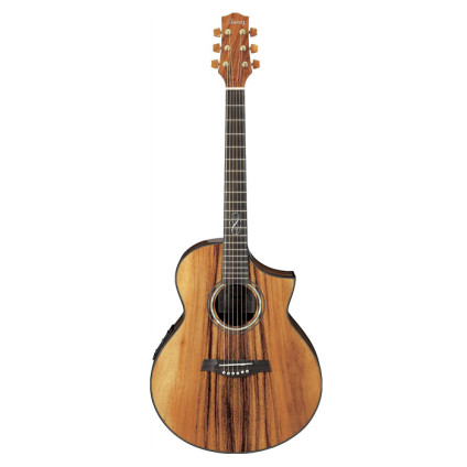 قیمت خرید فروش گیتار آکوستیک Ibanez EW50