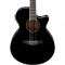 قیمت خرید فروش گیتار آکوستیک Ibanez AEG10II-BK