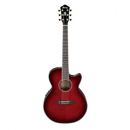 قیمت خرید فروش گیتار آکوستیک Ibanez AEG24II-THS