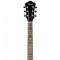 قیمت خرید فروش گیتار آکوستیک Ibanez SGT120