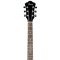 قیمت خرید فروش گیتار آکوستیک Ibanez SGT120