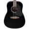 قیمت خرید فروش گیتار آکوستیک Ibanez SGT120