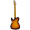 قیمت خرید فروش گیتار الکتریک LTD TE254 Distressed 3Tone Burst