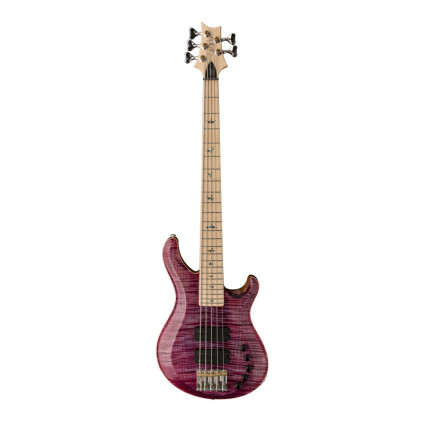 قیمت خرید فروش گیتار باس PRS Grainger 5 String Violet