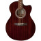 قیمت خرید فروش  PRS SE A10E Angelus Tortoise Shell