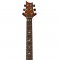 قیمت خرید فروش گیتار الکتریک PRS SE Floyd Custom 24