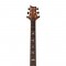 قیمت خرید فروش گیتار الکتریک PRS SE Custom 24 Exotic Top Zebrawood