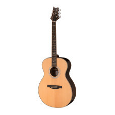 PRS SE T60E