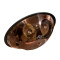 قیمت خرید فروش هنگ درام Arsha Hang Drum H 003