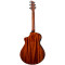 قیمت خرید فروش گیتار آکوستیک Breedlove Discovery S Concert CE European Spruce African Mahogany DSCN01CEEUAM