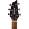 قیمت خرید فروش گیتار آکوستیک Breedlove Discovery S Concert CE European Spruce African Mahogany DSCN01CEEUAM