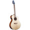 قیمت خرید فروش گیتار آکوستیک Breedlove Discovery S Concert CE European Spruce African Mahogany DSCN01CEEUAM