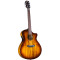 قیمت خرید فروش گیتار آکوستیک Breedlove Pursuit Exotic S Dreadnought Concerto Tigers Eye CE PSCO42CEMYMY