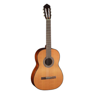 Cort AC100 SG