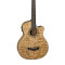قیمت خرید فروش گیتار باس Dean Exotica Quilt Ash A E Bass GN