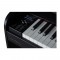 قیمت خرید فروش پیانو دیجیتال Dexibell Vivo H3 C B