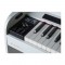 قیمت خرید فروش پیانو دیجیتال Dexibell Vivo H7 WH