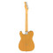 قیمت خرید فروش گیتار الکتریک Fender American Professional II Tele MN BTB