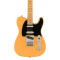 قیمت خرید فروش گیتار الکتریک Fender Player Plus Nashville Tele MN BTB