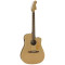 قیمت خرید فروش گیتار آکوستیک Fender Redondo Player Bronze Satin