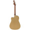 قیمت خرید فروش گیتار آکوستیک Fender Redondo Player Bronze Satin