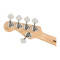 قیمت خرید فروش گیتار بیس 5 سیم Squier Affinity Jazz Bass V MN WPG Olympic White