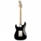 قیمت خرید فروش گیتار الکتریک Fender Standard Stratocaster Pau Ferro BLK