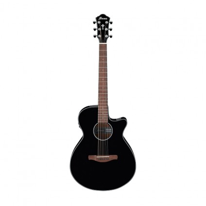 قیمت خرید فروش گیتار آکوستیک Ibanez AEG50 BK