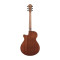 قیمت خرید فروش گیتار آکوستیک Ibanez AEG50 IBH