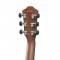 قیمت خرید فروش گیتار آکوستیک Ibanez AEG50 IBH