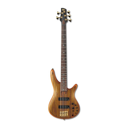 قیمت خرید فروش گیتار بیس 5 سیم Ibanez SR1205 VNF