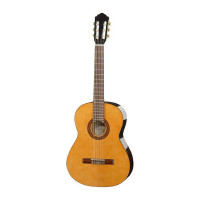 قیمت خرید فروش Hofner HAC204 4/4