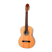قیمت خرید فروش Hofner HC504
