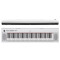 قیمت خرید فروش پیانو دیجیتال Yamaha NP12W