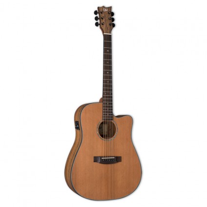 قیمت خرید فروش گیتار آکوستیک LTD D 320E NS