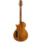 قیمت خرید فروش گیتار آکوستیک LTD TL-6 Thinline Tiger Eye Burst