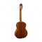 قیمت خرید فروش گیتار کلاسیک  Ortega R121SN