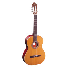 Ortega R200SN