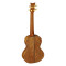 قیمت خرید فروش یوکللی Ortega Ukulele LIZARD TE GB