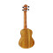 قیمت خرید فروش یوکللی Ortega Ukulele RFU11ZE