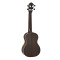 قیمت خرید فروش یوکللی Ortega Ukulele RUCOAL