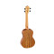 قیمت خرید فروش یوکللی Ortega Ukulele RUTI CC